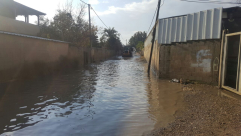 صور المعاناة تتكرر - قرية دهمش الغير معترف بها تغرق بمياه الأمطار ومعاناة المواطنين مستمرة